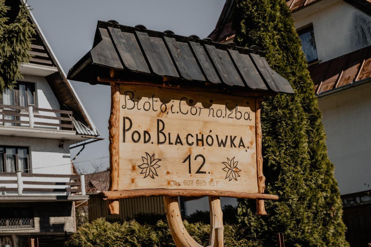 Biolo I Corno Izba Mountain Chalets Kościelisko Exterior foto